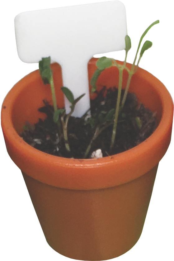 Tiny Gardening!