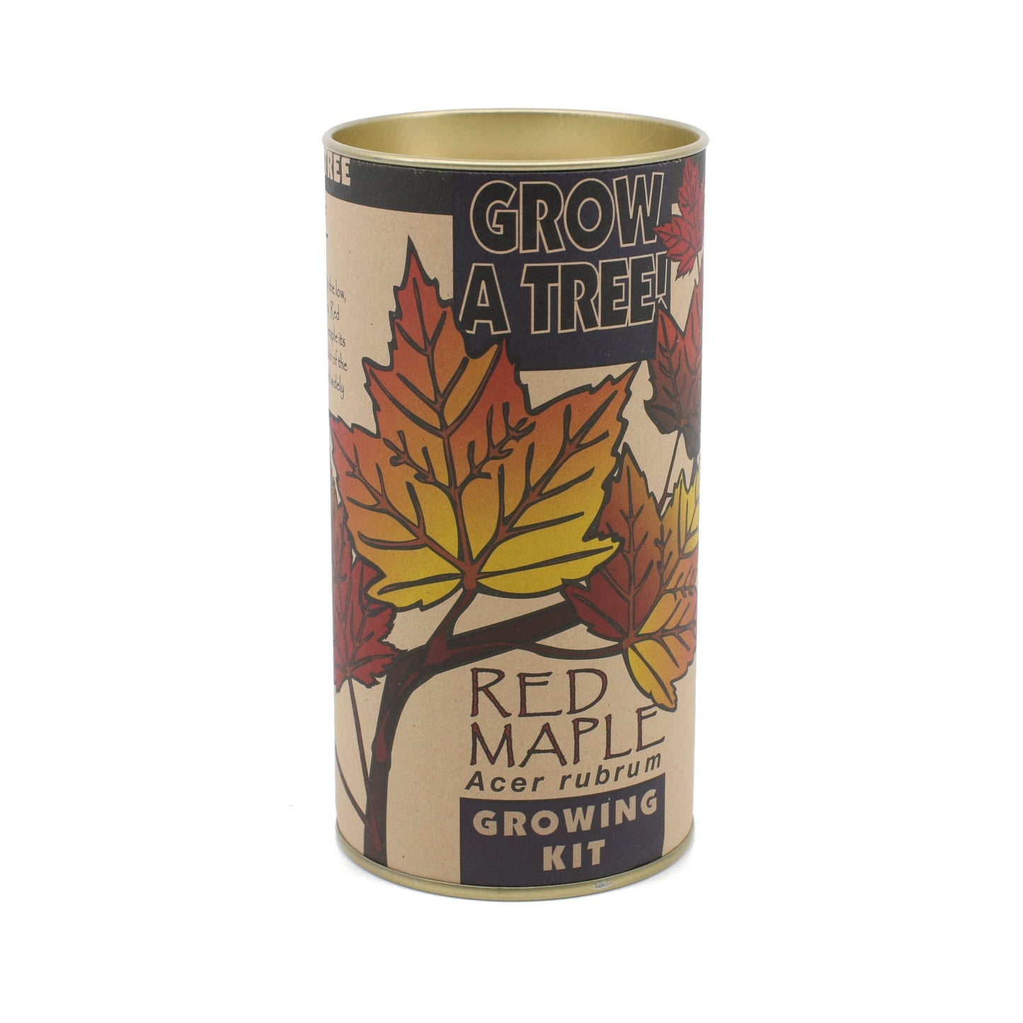 Jonsteen Red Maple