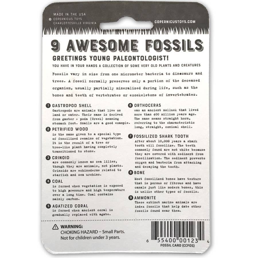 Fossil Card